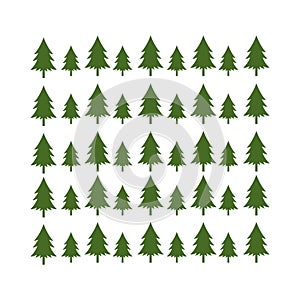 Green timberland pine tree branch christmas background illustration photo