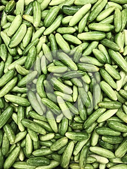 Green tindora vegetable pile background