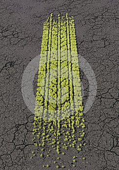 Green Tire Tracks on Cracked Asphalt Road