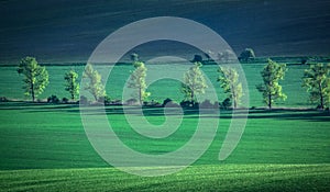 Green and tirquoise spring field abstract background