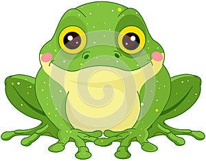Green Toad