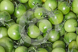 Green tomatoes in a basket on a fruit farmers Sunday market. Detailed close up with vivid shiny colors. Concept for organic food