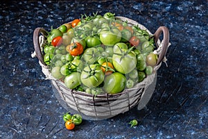 Green tomatoes freshly picked