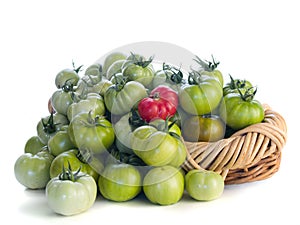 Green tomatoes and one red one