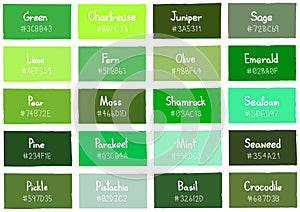 Green Tone Color Shade Background with Code and Name