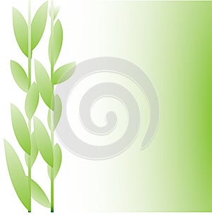 Green tone floral letter background