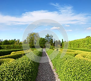 Green Topiary in a Tranquil Garden.