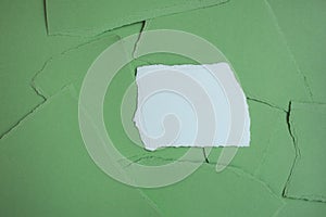 Green torn paper texture. art background.