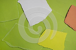 Green torn paper texture on mood board. Art background.