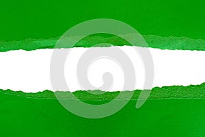 Green torn paper with white copy space.