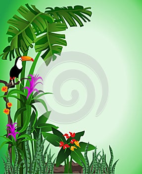 Green Toucan Background