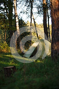 A green tourist tent stands in the forest, illuminated by rays of light.