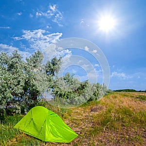 Green touristc tent stay on forest glade under a sparkle sun photo
