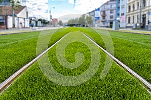 Green track. Grass covered tramway track. Greenery in the city. Habitable zone reduce urban heat. Island effect.