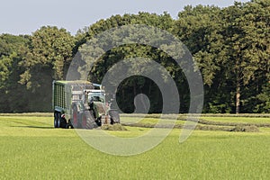 Green tractor picking up cut grass