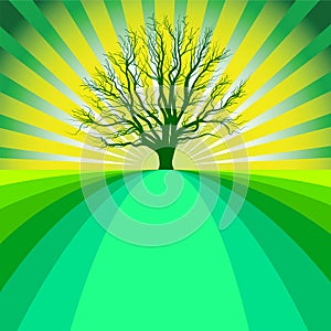 Green Tree