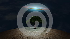 Green tree in arid land