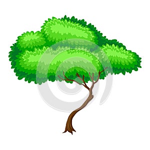Green Tree with Brown Trunk and Leafy Crown as Forest Element Vector Illustration