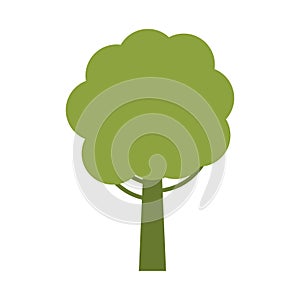 green tree ecology