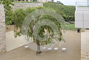 a green tree and five white chairs are arranged in a semi-circle around the tree, inviting visitors to sit and relax