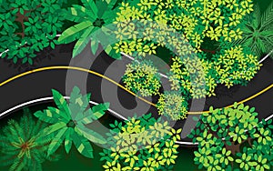 Green tree in the forest