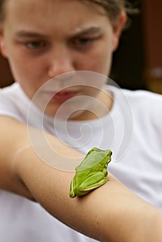 green tree Frog on arm