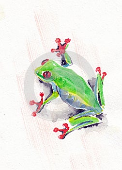 Green tree frog closeup artwork portrait. Watercolor hand drawn on watercolour paper texture