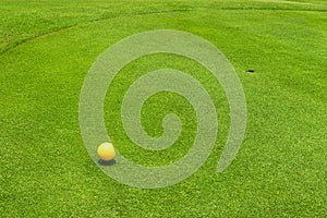 Close up golf