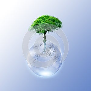 Green Tree - Green ecology concept for your design