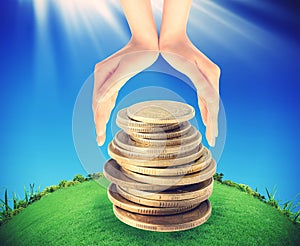 Green tree growing from pile of coins between hands