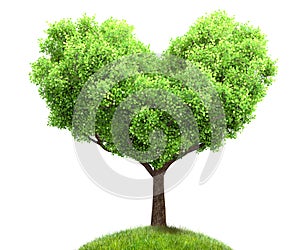 Green tree in heart shape 3D illustration, environment concept