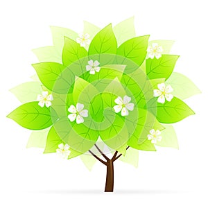 Green Tree Icon