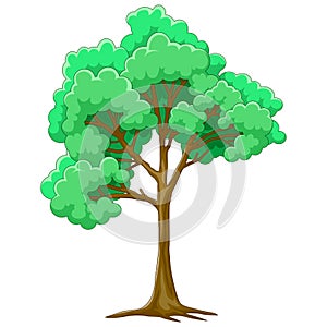 Green tree isolated on white background.