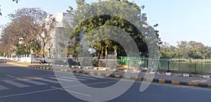 Green tree lake side road