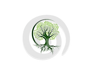 Green Of tree leaf logo ecology element nature vector