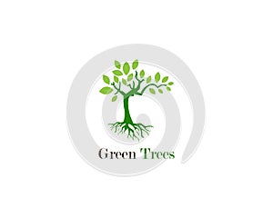 Green tree leaf logo ecology element nature vector