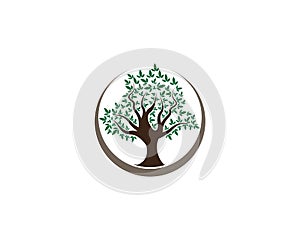Green Of tree leaf logo ecology element nature vector