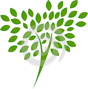 Green tree with leaves