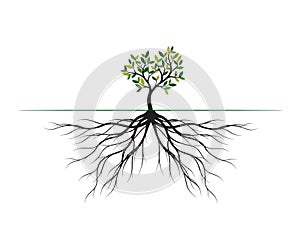 Green Tree with Leaves and big Roots. Vector outline Illustration. Plant in Garden