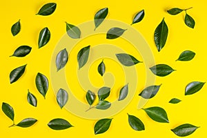 Green tree leaves pattern on yellow background