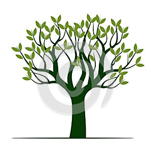 Green Tree with Leaves. Vector outline Illustration. Plant in Garden