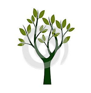 Green Tree with Leaves. Vector outline Illustration. Plant in Garden