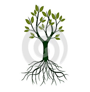 Green Tree with Leaves. Vector outline Illustration. Plant in Garden