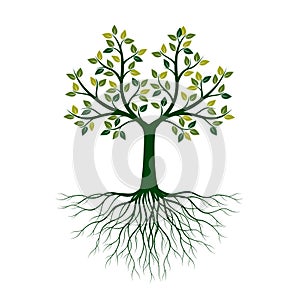 Green Tree of Life with Roots. Vector Illustration