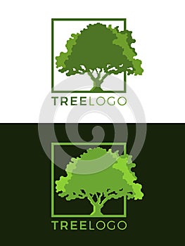 Green tree logo sign with tree sign in square frame vector art design