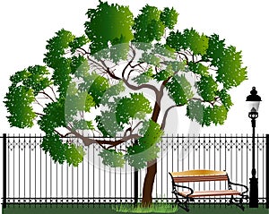 Green tree near fence and banch isolated on white