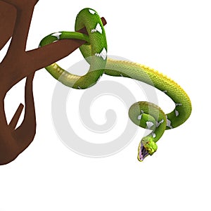 Green tree python