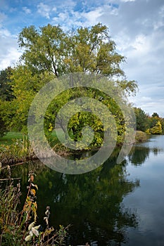 Green tree reflecting in a lake with blue sky with some clouds behind
