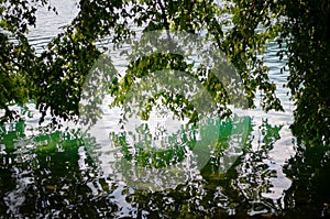 green tree reflecting on the water ,Bled, Slovenia.