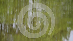 Green Tree Reflections in Calm Still Pond and Lake, Abstract Background with Copyspace, Nature Shot